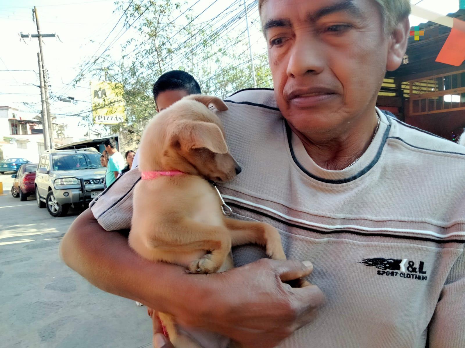 Realizan esterilizaciones gratuitas de perros y gatos en colonia de Xalapa