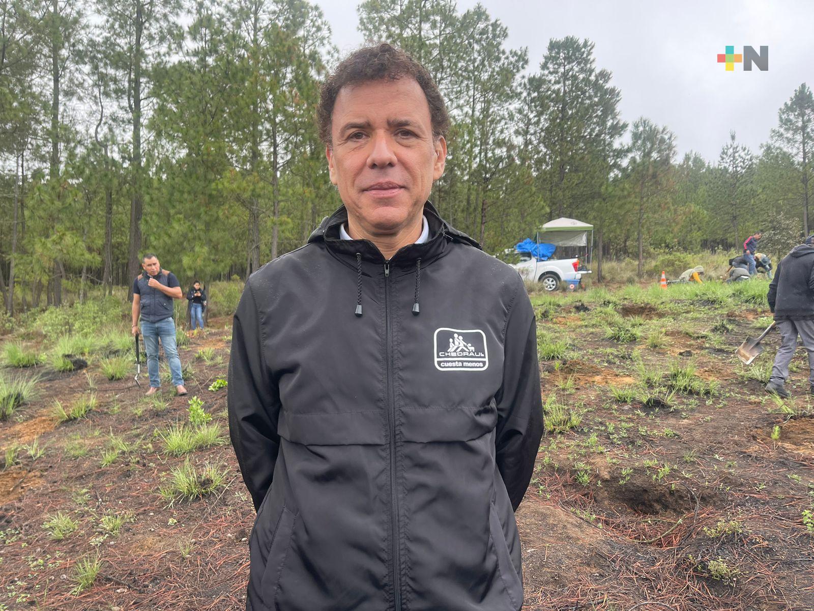Fundaci n trabaja con drones para combatir deforestaci n en